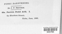 Image Associated With the Occurence
